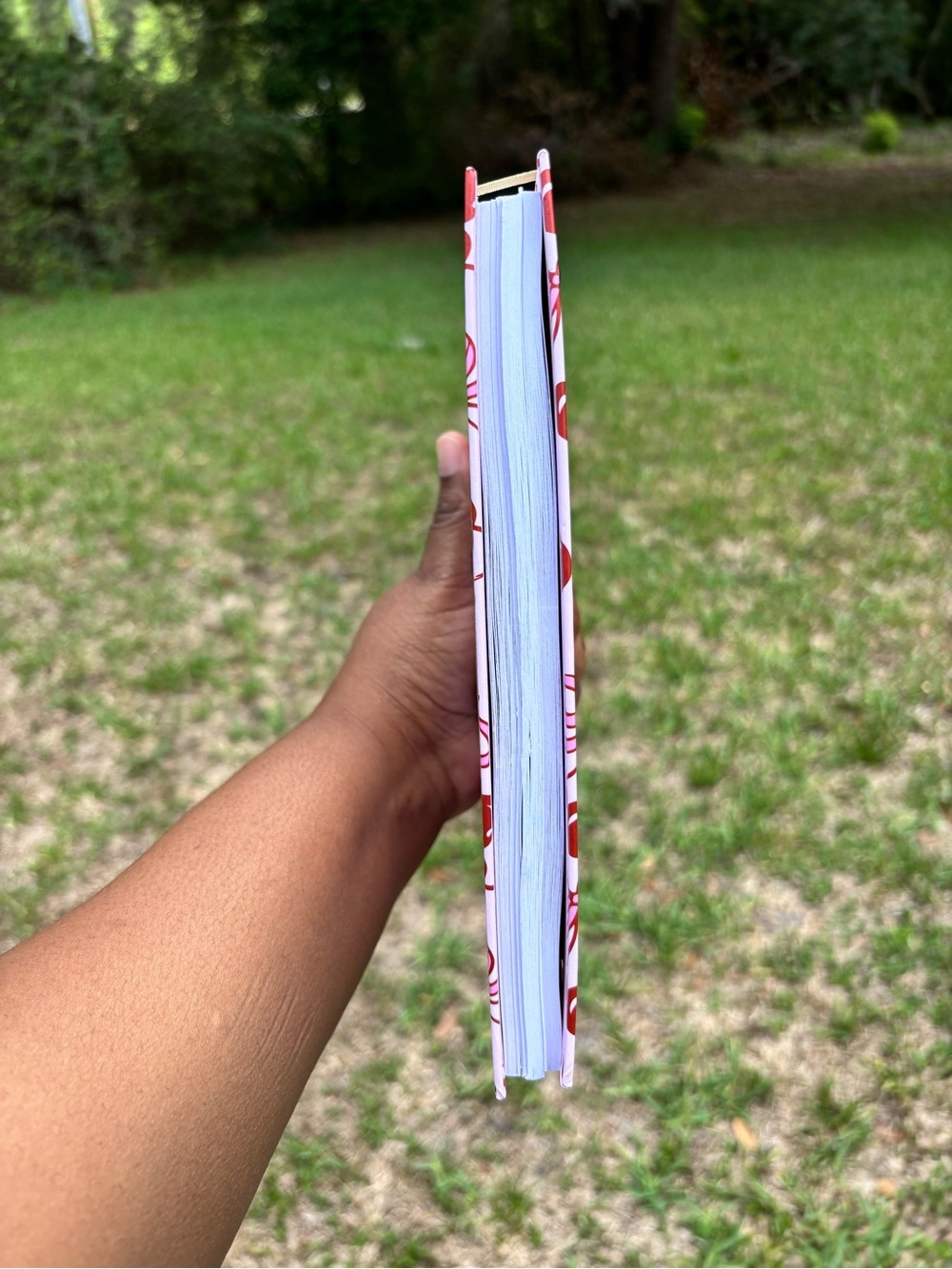 Bow & Cherry Journal NWT - Picture 4 of 4